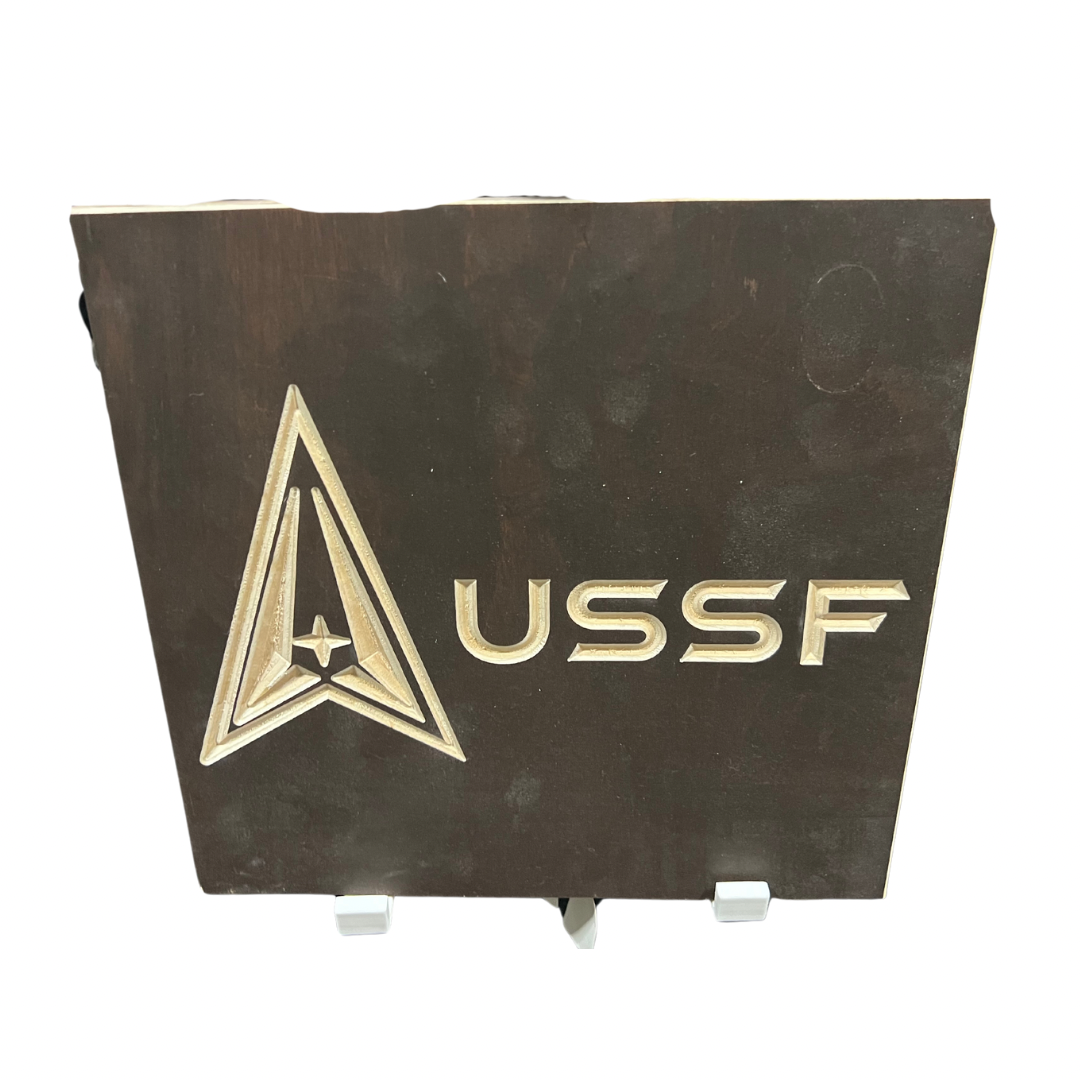 US SPACE FORCE Military Emblem Wood Sign 10x10